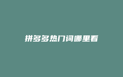 拼多多热门词哪里看