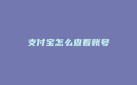 支付宝怎么查看账号