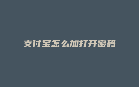 支付宝怎么加打开密码