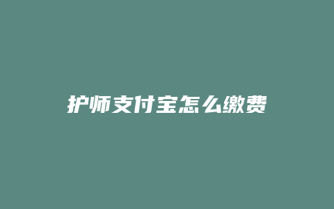 护师支付宝怎么缴费