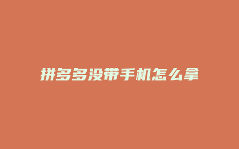 拼多多没带手机怎么拿货