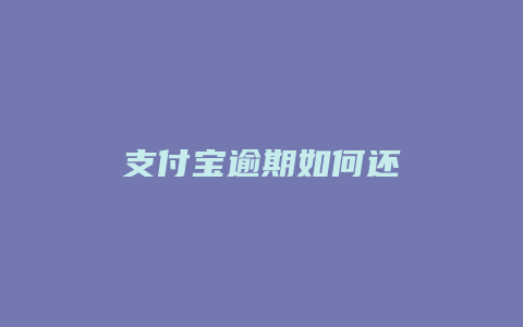 支付宝逾期如何还