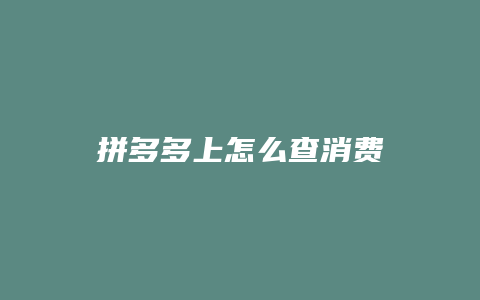 拼多多上怎么查消费