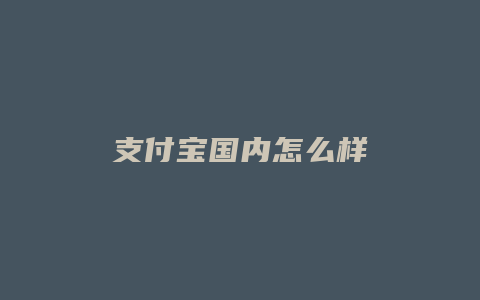 支付宝国内怎么样