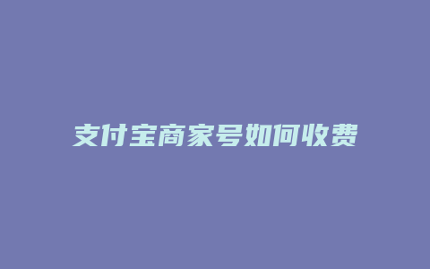 支付宝商家号如何收费