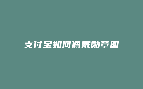 支付宝如何佩戴勋章图