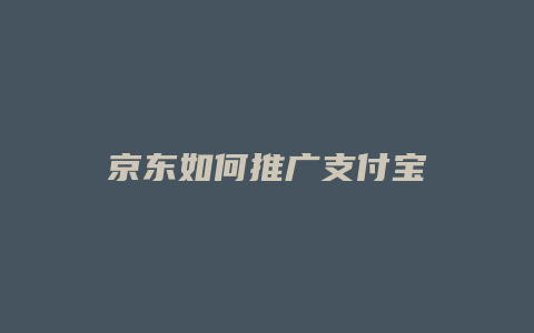 京东如何推广支付宝