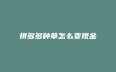 拼多多种草怎么变现金