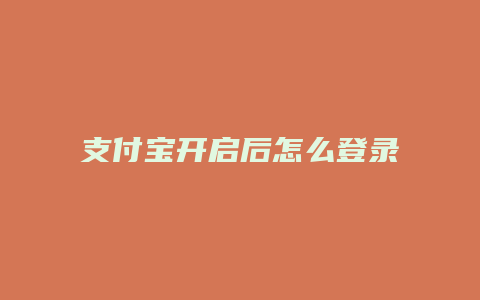 支付宝开启后怎么登录