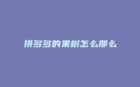 拼多多的果树怎么那么贵