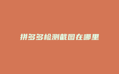 拼多多检测截图在哪里
