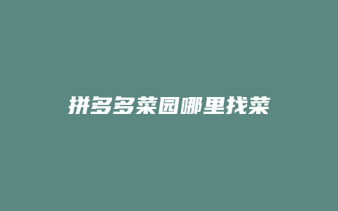 拼多多菜园哪里找菜