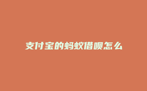 支付宝的蚂蚁借呗怎么开通