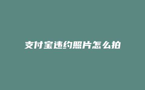 支付宝违约照片怎么拍