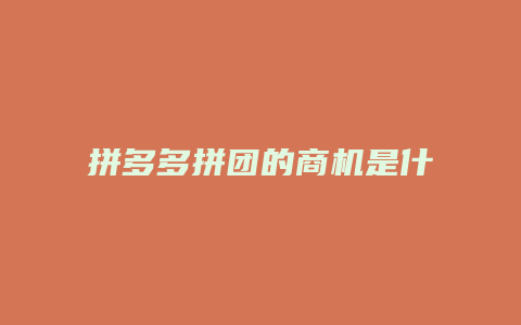 拼多多拼团的商机是什么
