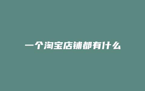 一个淘宝店铺都有什么