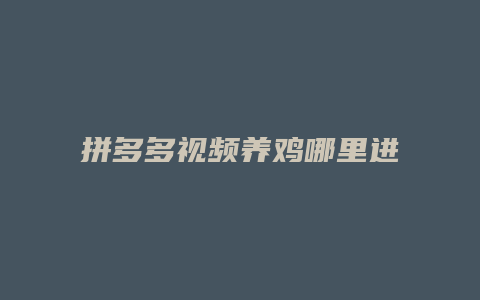 拼多多视频养鸡哪里进入