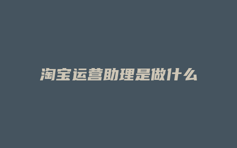 淘宝运营助理是做什么的