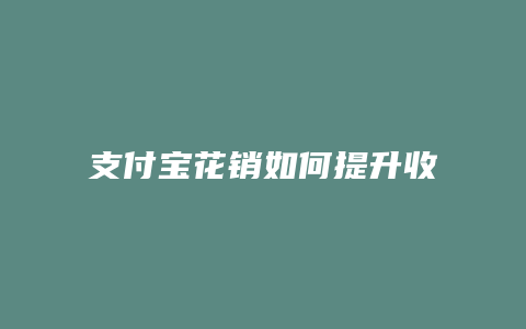 支付宝花销如何提升收入