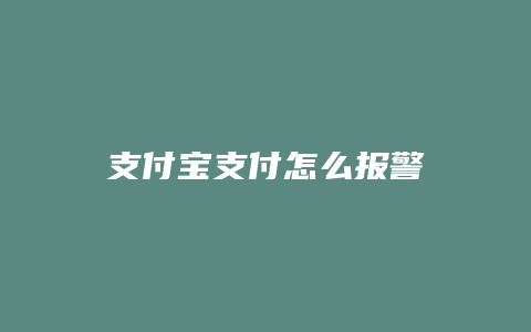 支付宝支付怎么报警