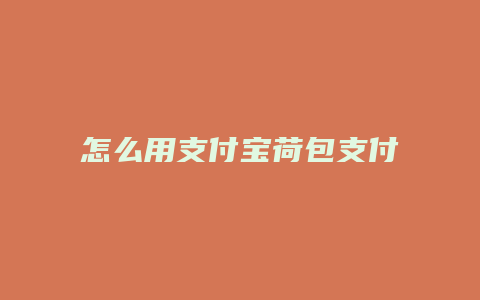 怎么用支付宝荷包支付