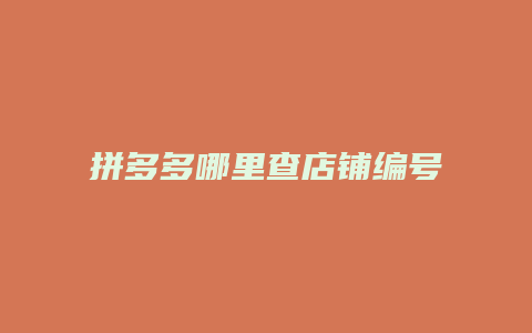拼多多哪里查店铺编号电话