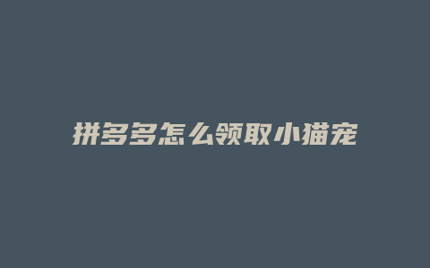 拼多多怎么领取小猫宠物