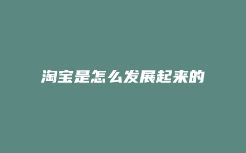 淘宝是怎么发展起来的