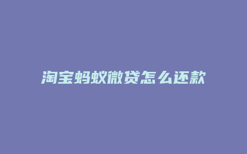 淘宝蚂蚁微贷怎么还款