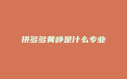 拼多多黄峥是什么专业