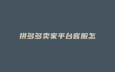拼多多卖家平台客服怎么找