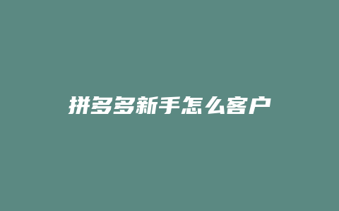 拼多多新手怎么客户
