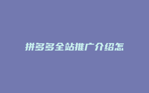 拼多多全站推广介绍怎么写