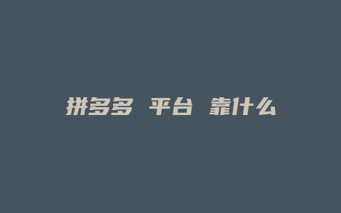 拼多多 平台 靠什么盈利