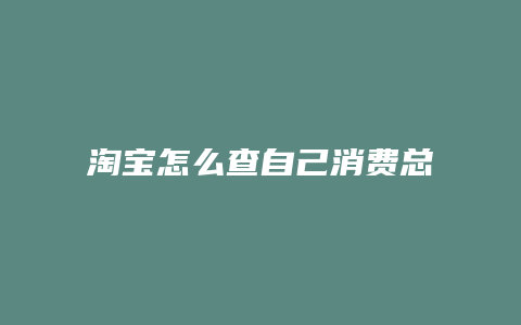 淘宝怎么查自己消费总额