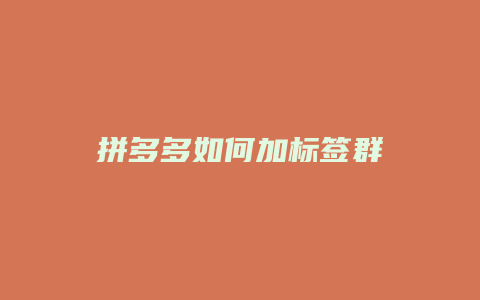 拼多多如何加标签群