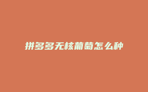 拼多多无核葡萄怎么种