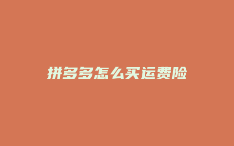 拼多多怎么买运费险