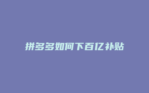拼多多如何下百亿补贴