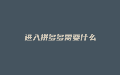 进入拼多多需要什么