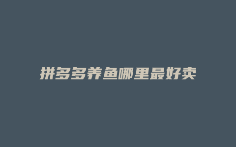 拼多多养鱼哪里最好卖