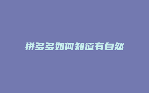 拼多多如何知道有自然流量