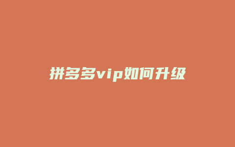 拼多多vip如何升级