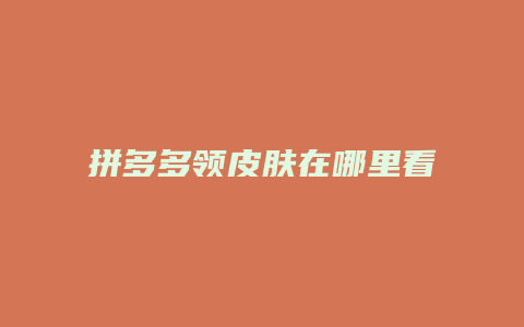 拼多多领皮肤在哪里看