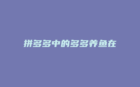 拼多多中的多多养鱼在哪里