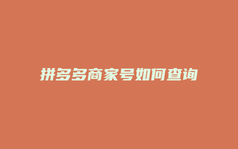 拼多多商家号如何查询