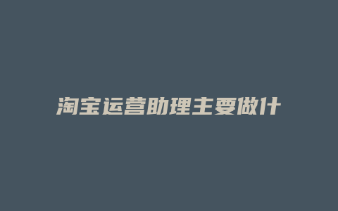 淘宝运营助理主要做什么