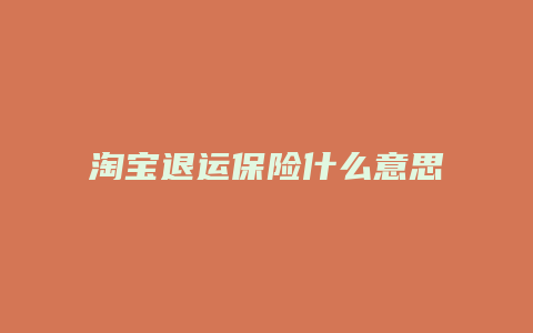淘宝退运保险什么意思