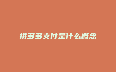 拼多多支付是什么概念