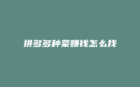 拼多多种菜赚钱怎么找